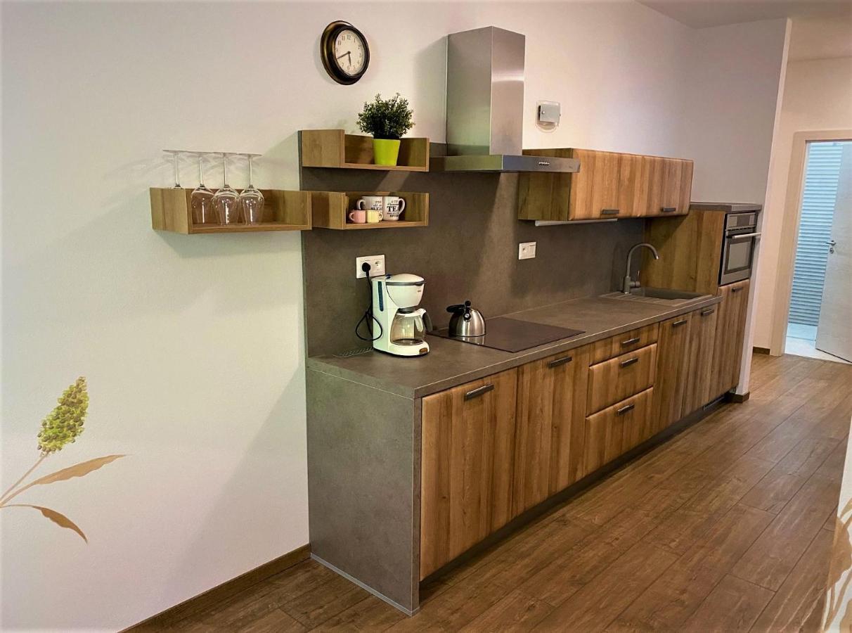 Chopok Juh - Ambiente Apartment تالي المظهر الخارجي الصورة